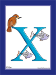 The Letter "X" Color Illustration