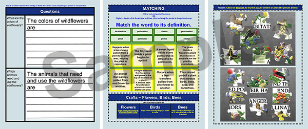 Birdsong Lesson sample