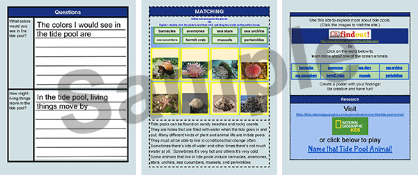 Birdsong Lesson sample