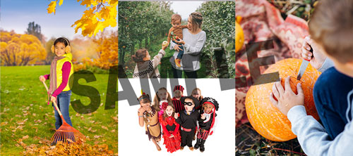 What Do You See In The Picture - Fall!