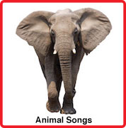 Animal Songs