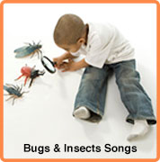 bug & insect songs