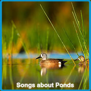  Pond Songs