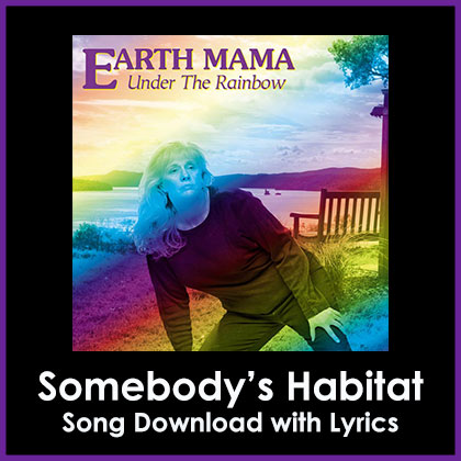 Somebody's Habitat Song Download with Lyrics