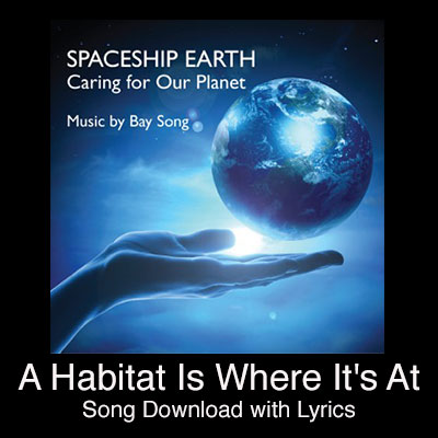 A Habitat is Where It's At Song Download with Lyrics