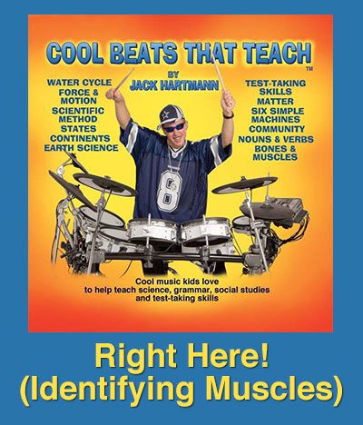 Right Here! (Identifying Muscles) Song Download with Lyrics