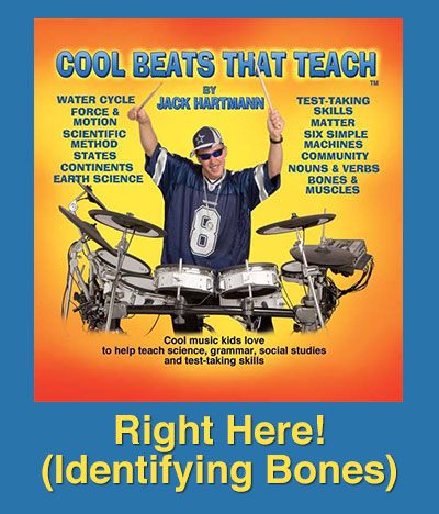 Right Here! (Identifying Bones) Song Download with Lyrics