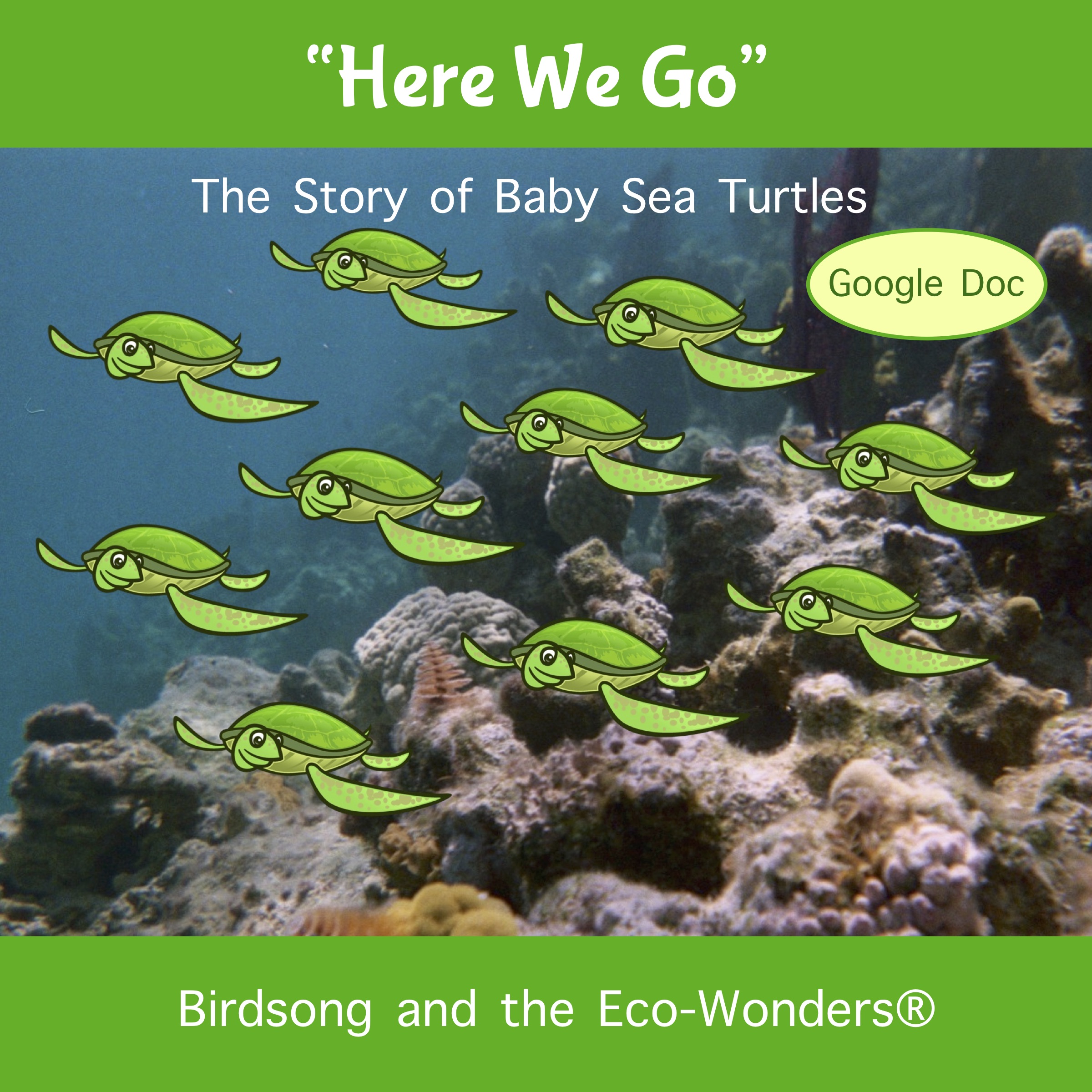 Here We Go (Sea Turtles) Song