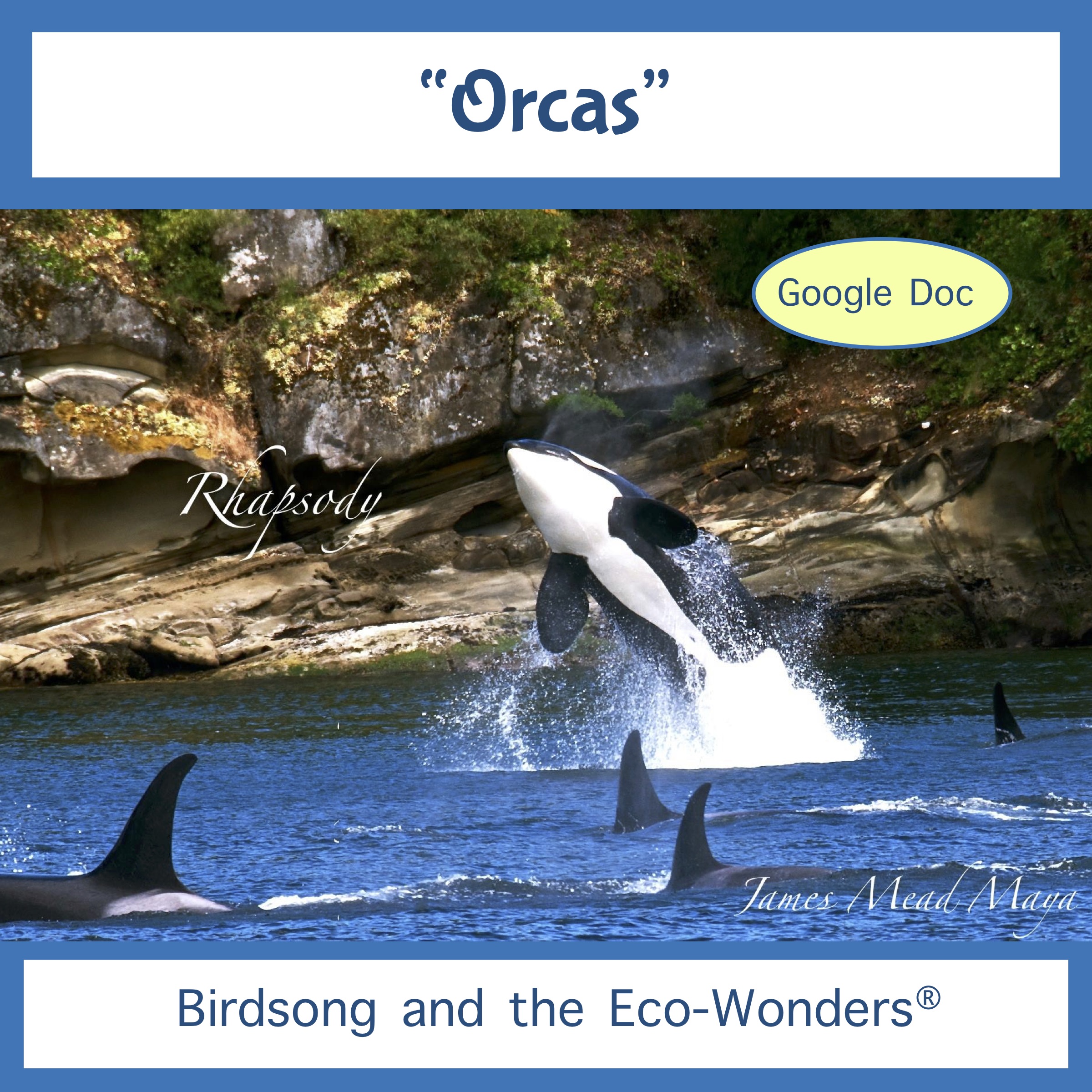 Orcas Song