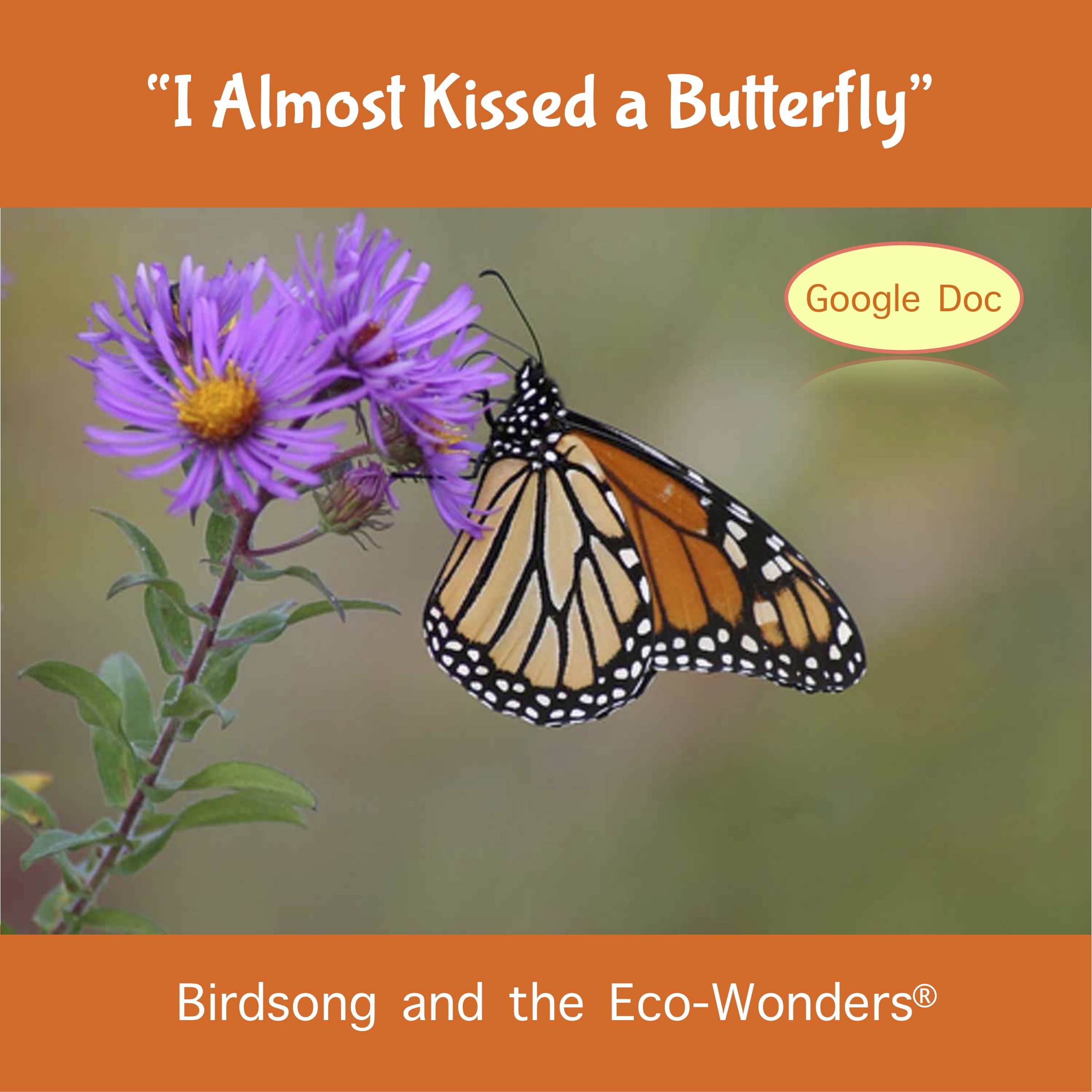 I Almost Kissed a Butterfly Song