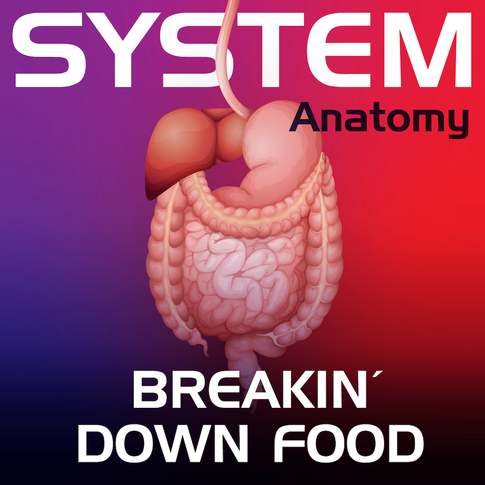 Breakin Down Food song