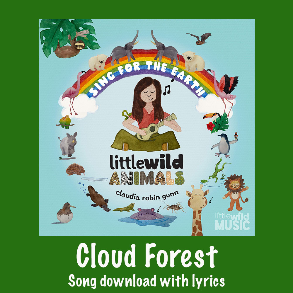 Cloud Forest Song Download with Lyrics