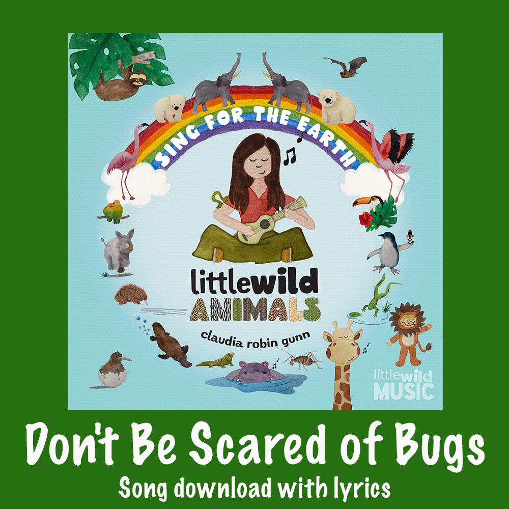 Don't Be Scared of Bugs Song Download with Lyrics