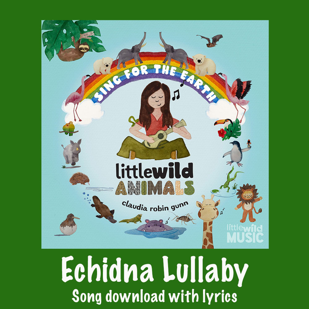 Echidna Lullaby Song Download with Lyrics