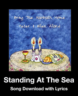 Standing At The Sea Song Download