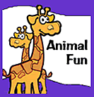 Animal Fun! 4-Pack