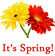 Its Spring! Mini-Album Download with Lyrics