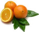 Fruit Songs, Vol 1: Avocado, Dried Fruit, Grapefruit, Persimmon and Peaches