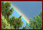 Environmental Songs From Popular Childrens Books:  Downloadable Tracks with Lyrics