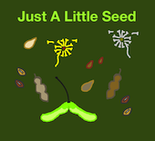 Just A Little Seed (I've Got Potential) Song Download with Lyrics