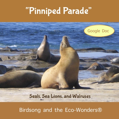 Pinniped Parade Song Download with Lyrics