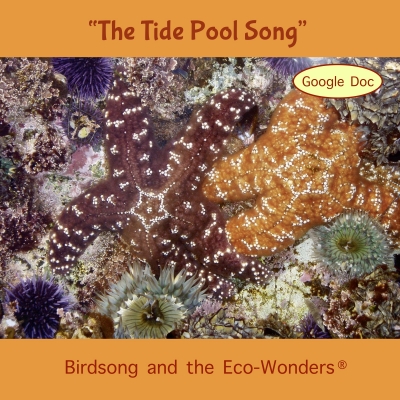 The Tide Pool Song Download with Lyrics