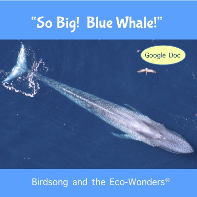 So Big! Blue Whale! Song Download with Lyrics