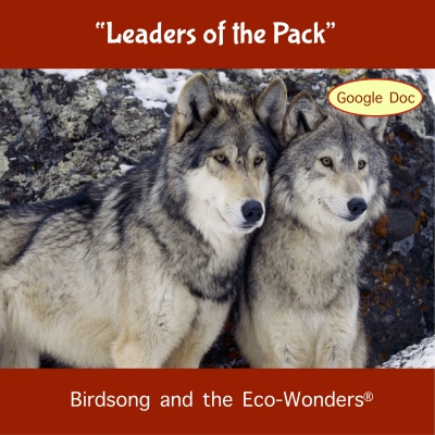 Leaders of the Pack Song Download with Lyrics