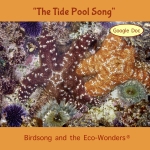 The Tide Pool Song Download with Lyrics