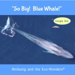 So Big! Blue Whale! Song Download with Lyrics