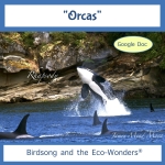 Orcas Song Download with Lyrics