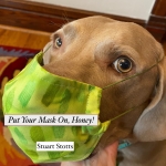 Put Your Mask On, Honey Song Download with Lyrics