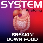 System Anatomy: Breakin' Down Food