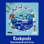 Rockpools Song Download with Lyrics