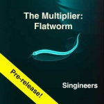 The Multiplier: Flatworm Song Download with Lyrics