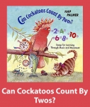 Can Cockatoos Count By Twos Song Download with Lyrics