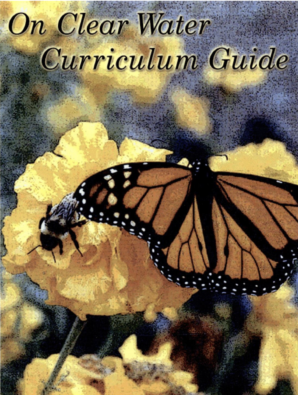 curriculum guide